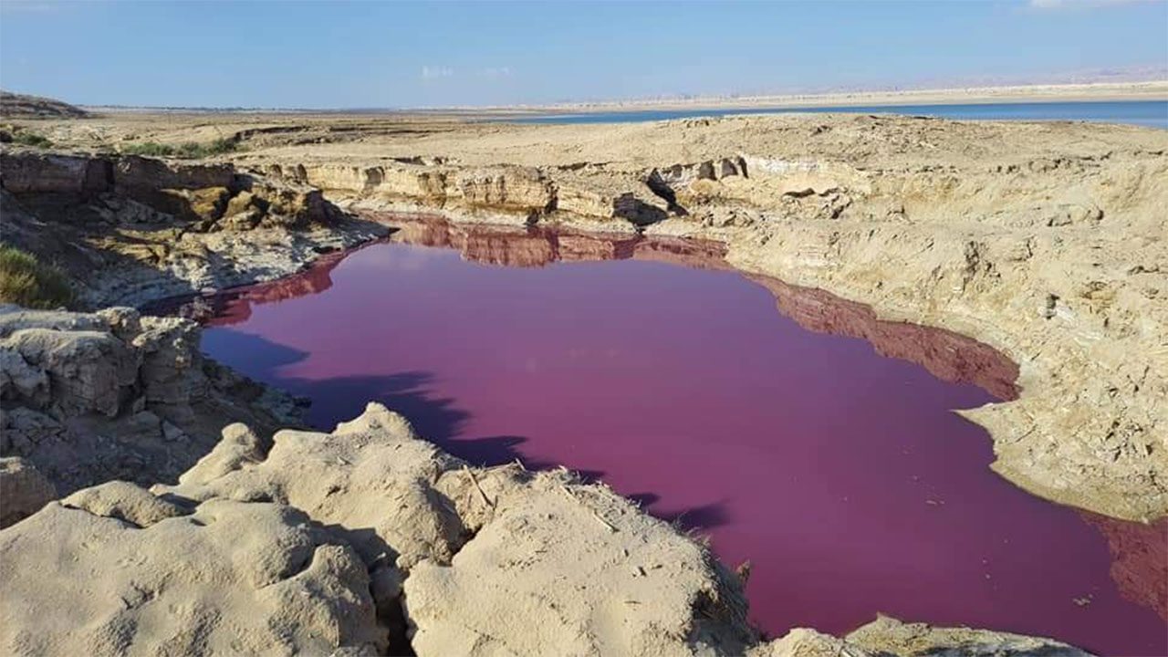 بحيرة الأردن الحمراء.. جدل وغموض بانتظار كشف السر