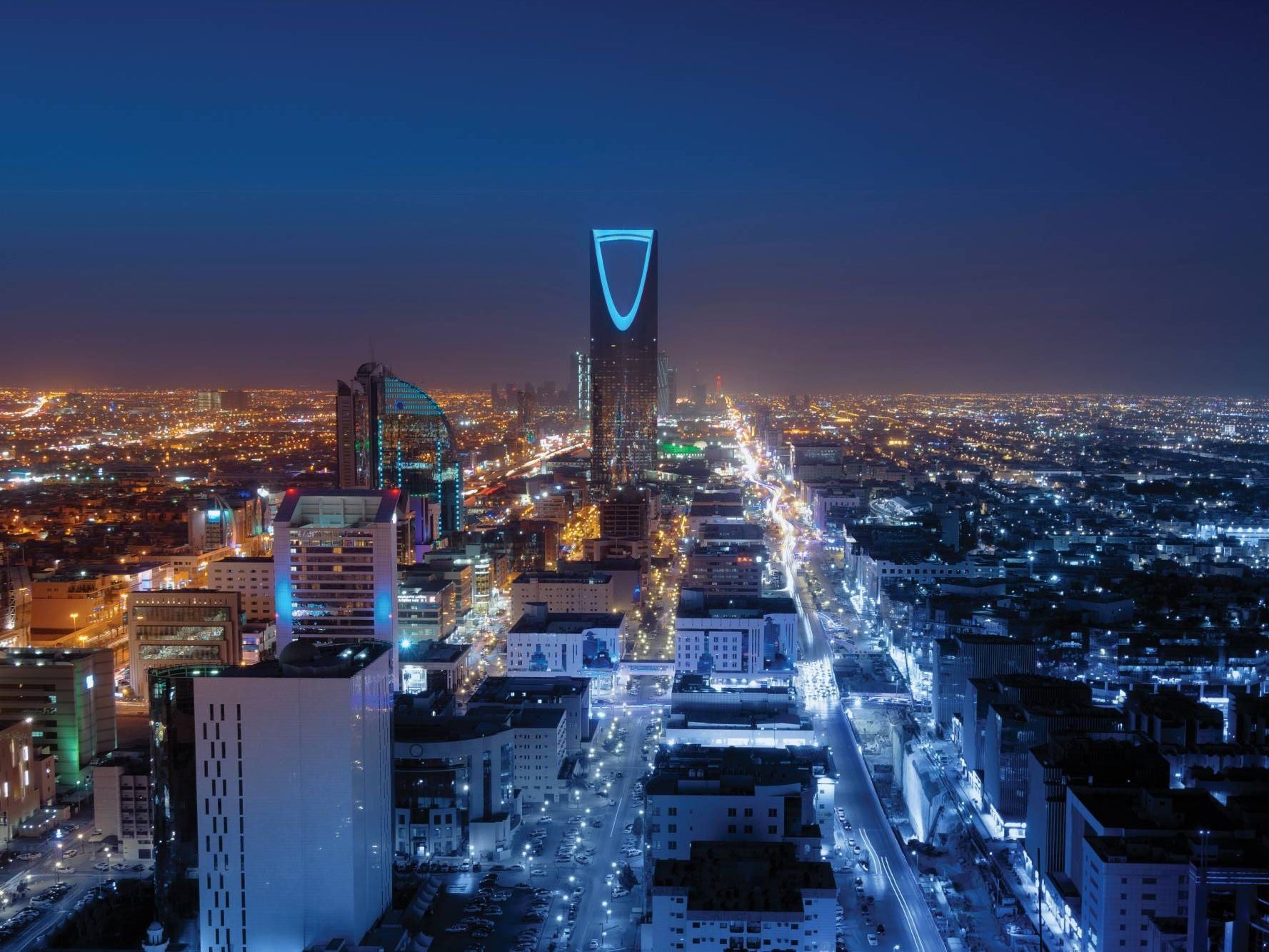 الخدمات الرقمية الحكومية