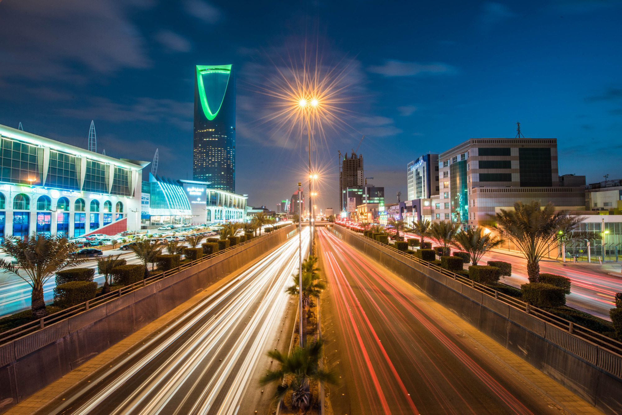 هيئة الحكومة الرقمية