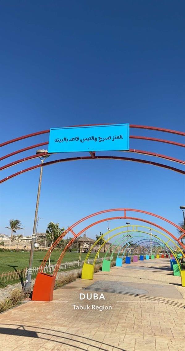 بلدية ضباء