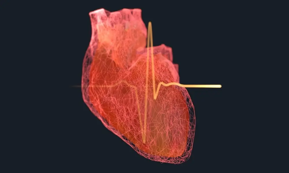 دراسة حديثة تكشف عن 4 عوامل رئيسية تسبق 99% من النوبات القلبية و #السكتات_الدماغية 