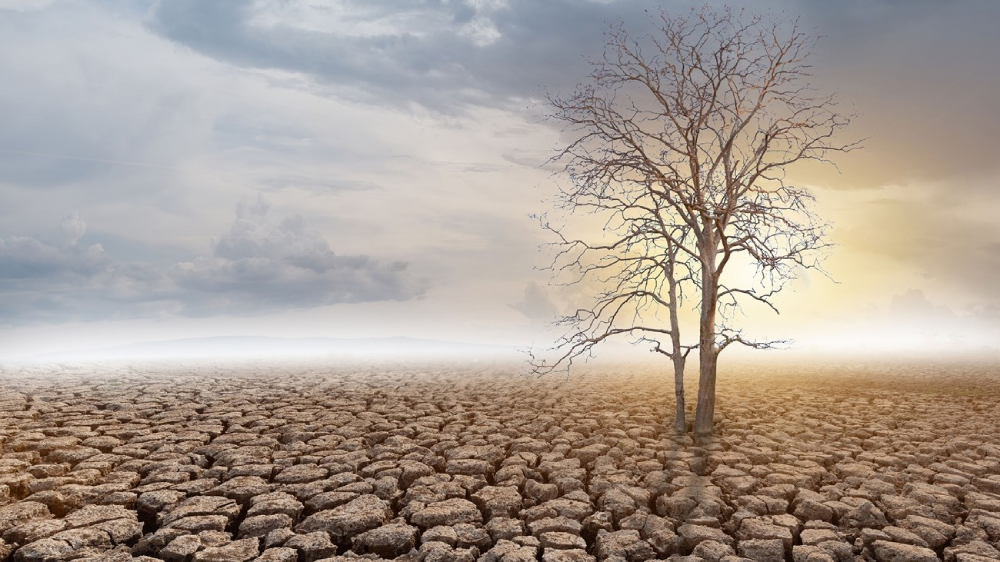 دراسة جديدة تكشف أن أنماط حرارة المحيطات تُوزّع موجات الجفاف بين القارات، فتحدّ من تحوّلها إلى أزمة عالمية متزامنة 