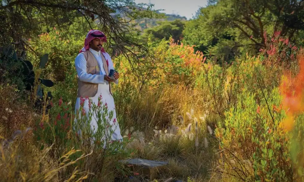 المملكة تجدد التزامها المناخي في يوم السعودية الخضراء ... خارطة طريق نحو الحياد الصفري وحماية التنوع البيولوجي. 